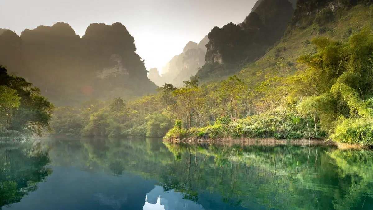 节能绿色高效